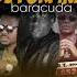 NEWS MIX COUPE DECALE 2021 BATTLE By BARACUDA