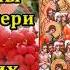 Акафист Пресвятой Богородице пред иконой Всех скорбящих Радость