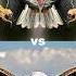 Harpy Eagle Vs Eagle Bird Vs Falcon Crow Owl Seagull Duck Toucan Bird Macow Pigeon