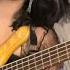 MOHINI DEY BASS SOLO Recording Session For Chris Bieniek On His Song Girl From Murrumbeena