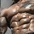 Бодибилдинг Мотивация 2015 Быть победителем Bodybuilding Motivation 2015 To Be The Winner