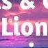 Hearts Colors Lion Lyrics