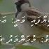 Fiyareethi Nalavi Muniya MS By Karaoke DABIYA