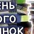 НЕУЖЕЛИ ЭТИ КНИГИ ТЕПЕРЬ ПО 149Р книжная охота книжные покупки в фикс прайс