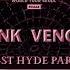 BLACKPINK Pink Venom BORN PINK FINALE IN SEOUL BST HYDE PARK PINKCHELLA VISUALIZER Y V