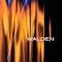 Walden First Day New World Sound Remix