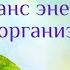 Как устроен большой космос Код Жизни Ячейка 8 7 8 9 уровни КОДЖИЗНИ ГАРАТ