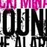 Nicki Minaj Pound The Alarm Instrumental