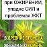 Девясил при ожирении упадке сил и проблемах жкт лекарственныетравы травы травник дикоросы