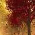 Matt Monro Autumn Leaves