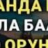 БАЙЛЫК БЕРЕКЕ ЫРЫСКЫ ООМАТ ТЫНЧТЫК ЖАНА ЫЙМАН ДЕН СООЛУК АЛЫП КЕЛЕТ ИН ШАА АЛЛАХ