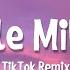 Zile Zile Mile Mile TikTok Remix Song