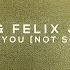 VIZE Felix Jaehn Thank You Not So Bad Single