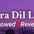 O Yaara Dil Lagana Slowed Reverb From Sanak