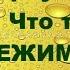 Торсунов О Г Что такое режим дня Как он влияет на судьбу