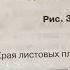 Биология 6 класс Исаева Тема Лист Внешнее и внутреннее Строение 20 12 20