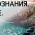 ДЫХАНИЕ ЧЕРЕПАХИ Дыхательная гимнастика СПОСОБСТВУЕТ РАСШИРЕНИЮ СОЗНАНИЯ YAN G Пранаяма