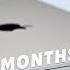 M2 Macbook Air 9 Month Review Does It Hold Up