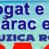 Că Bogat E Greu Dar Sărac E Rău Karaoke Versuri Negativ Muzică De Ascultare și Petrecere 2024