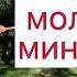 Эта палка вернет тебя на 10 лет назад Массажист не понадобится