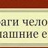 И враги человеку домашние его Коротко о главном Веды философия психология Записки неофита