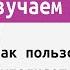 Изучаем Python 3 глава Как пользователь выполняет программы с Николаем Павловым