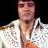 A CRAZY ELVIS STORY Told By Alice Cooper Liza Minnelli And Chubby Checker Elvispresley