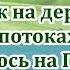 13 Похож на дерево я