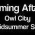 Owl City I M Coming After You