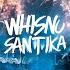 Whisnu Santika Mixtape 2024 IndoBounce Mixtape