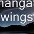 Wings Semalam Yang Hangat