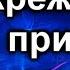 Скрежет при торможении Выясняем причину