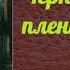 Владимир Иванович Даль Черкесский пленник аудиокнига