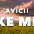 Avicii Wake Me Up Slowed Reverb