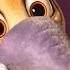 Baby Elephant Wants Ice Cream Scene ZOOTOPIA 2016 Movie Clip