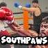 SOUTHPAWS Tutorial Boxing Boxingtraining Boxingtutorial Learntobox Viral Shorts