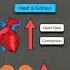 How To Remember Beta Adrenergic Receptors In 60 SECONDS Location Physiology