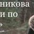 Ольга Иконникова А пташечки по окошечкам из репертуара Ольги Сергеевой