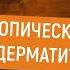 Яна Крайнова в Шоу Психосоматика Атопический дерматит сухость кожи и пятна на руках