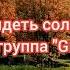 УВИДЕТЬ СОЛНЦЕ Рок группа Grafika