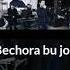 Бечора бу жон маруфбек алийев Bechora Bu Jon Marufbek Aliyev Primera