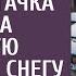 Очнувшись в сугробе после аварии богачка увидела странную надпись на снегу А решив пойти по следу