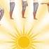 Surya Namaskar 12 Cycles