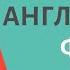 Глагол To HAVE 8 полезных фраз Speak All Week Разговорный английский