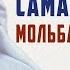 Что ты должен просить у Аллахаﷻ каждый день Шейх Мишари аль Харраз