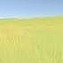 How Do Games Render So Much Grass