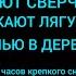 ТЕМНЫЙ ЭКРАН ПОЮТ СВЕРЧКИ КВАКАЮТ ЛЯГУШКИ ночью в деревне 7 часов крепкого сна