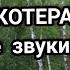 ЗВУКОТЕРАПИЯ ЦЕЛЕБНЫЕ ЗВУКИ ПРИРОДЫ ЛЕЧЕНИЕ ЗВУКАМИ ПРИРОДЫ