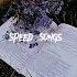 Speed Songs чеее шелковая простынь Speed Up