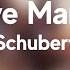 Franz Schubert Ave Maria HD 8D Classical Music Classical 8D